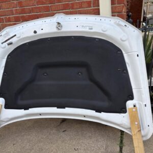 2019 ram 1500 hood